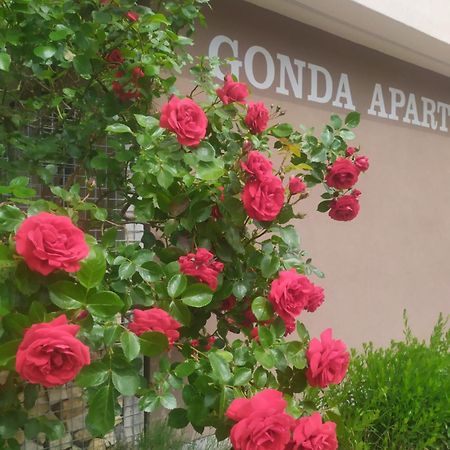 Gonda Apartments Hradec Kralove Exterior foto