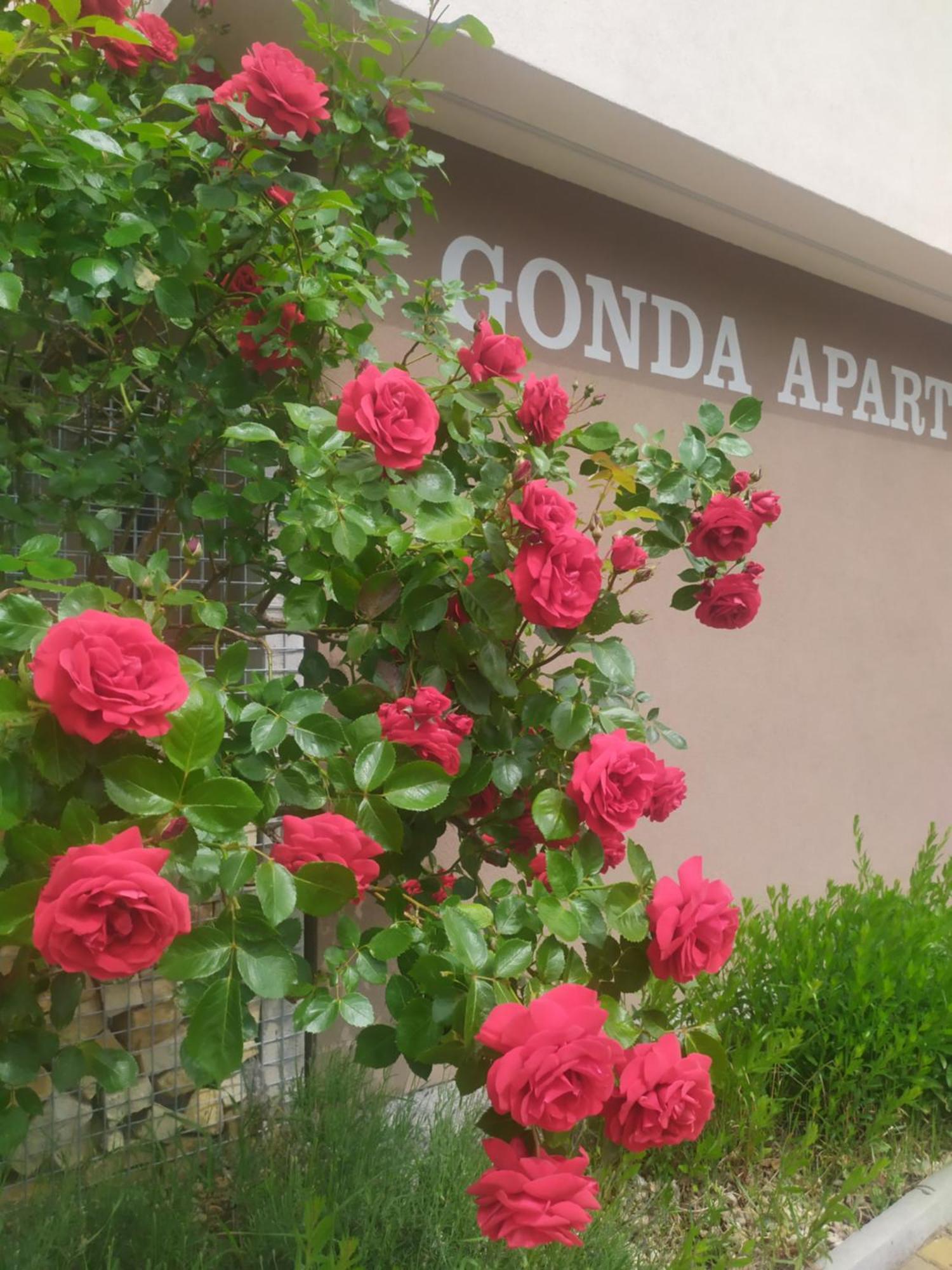 Gonda Apartments Hradec Kralove Exterior foto